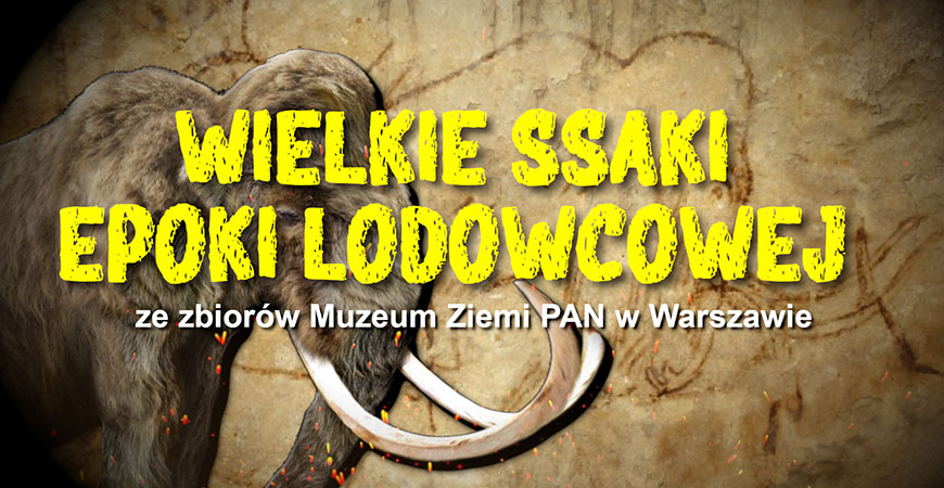 Epoka lodowcowa, czyli mamuty w muzeum