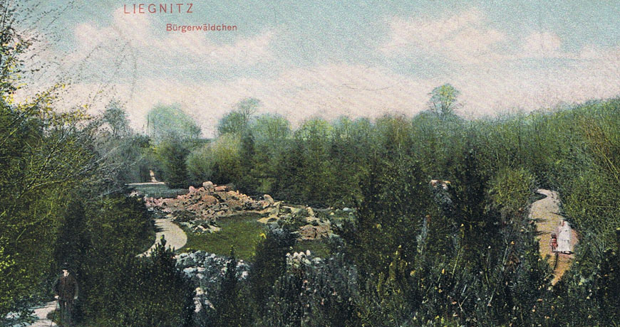 Historia ukryta w zieleni Lasku Złotoryjskiego - kolejny spacer historyczny przed nami