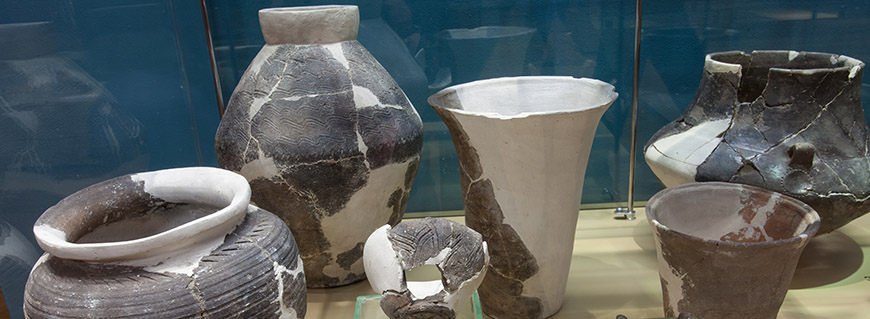 Dział Archeologii