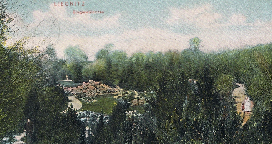 Historia ukryta w zieleni Lasku Złotoryjskiego - kolejny spacer historyczny przed nami