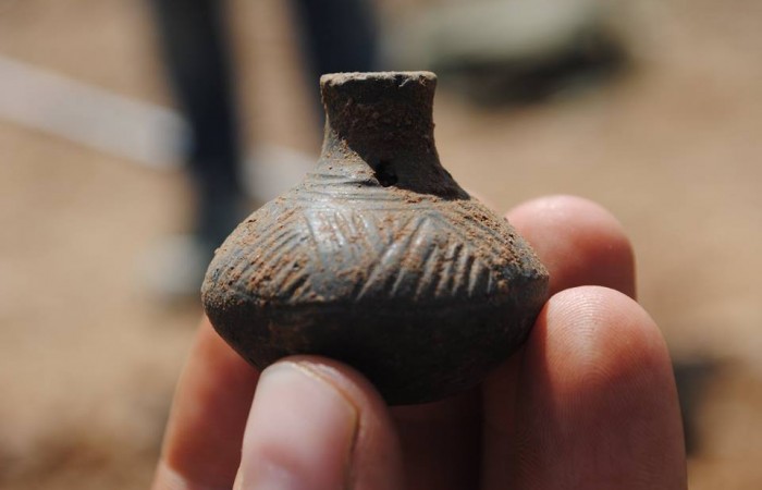 grzechotka_gruszkowata